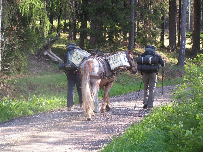 Trekking mit Pferd