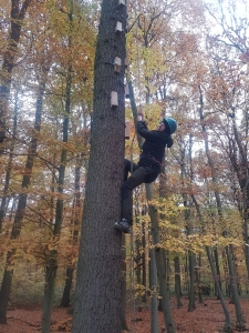 Hoch hinaus auf dem Klettergelände der Naturerlebnisschule