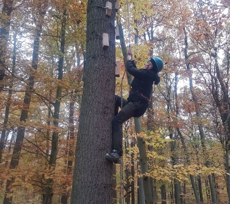 Hoch hinaus auf dem Klettergelände der Naturerlebnisschule