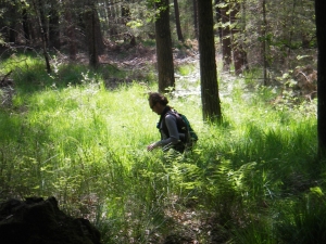 Einsam im Wald