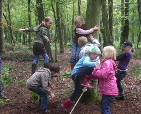 Kinder auf dem Niedrigseilgarten